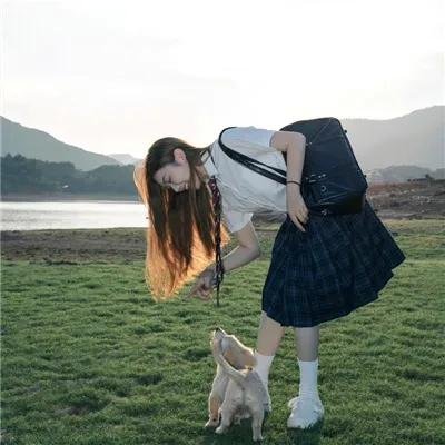 爆笑虫子 第一季